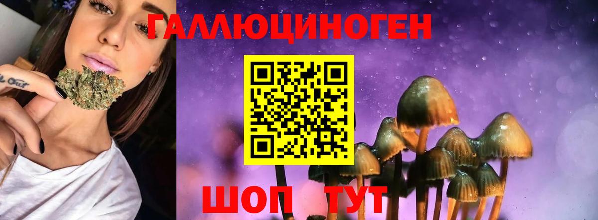 Галлюциногенные грибы Cubensis Набережные Челны